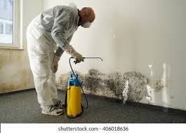 Best Mold Documentation for Insurance Claims  in Tulsa, OK